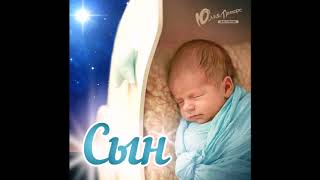 Юлия Петерс - Сын