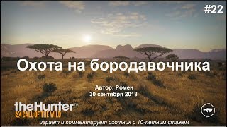 Охота на бородавочника в theHunter Call of the Wild