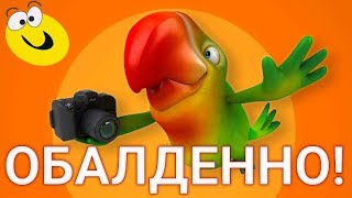 ПРИКОЛЬНЫЙ ПОЗИТИВЧИК ДЛЯ ПОДНЯТИЯ НАСТРОЕНИЯ!