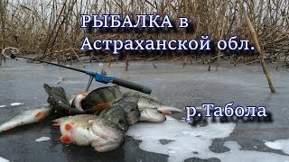 Рыбалка в Астраханской обл.  Река Табола.