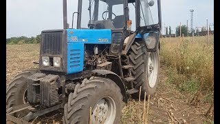Дисковка подсолнечника. Трактор  МТЗ + АГ 2,4