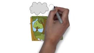 Geography - Ecosystem & The Environment: Geography Exam Tips