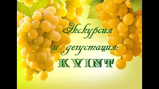 Экскурсия и дегустация: KVINT