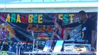 ERYKAH BADU IN SUNNY SOUTH DALLAS LIVE AT THE HARAMBEE FESTIVAL