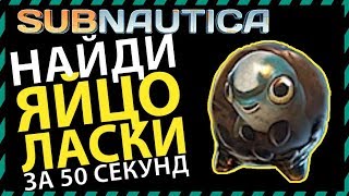 Subnautica Где найти ЯЙЦО ЛАСКИ