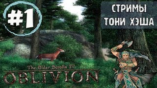 The Elder Scrolls 4: Oblivion. Легендарная сложность. Маг британец. Часть 1
