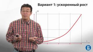 4.2 Производственная деятельность фирмы
