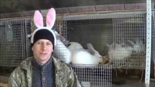 Обзор мини ферма для кроликов кроликоферма (часть 22)
