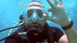 Hawaii'de Köpekbalığı Dalışı: Whitetip Reef Shark Diving - Maui