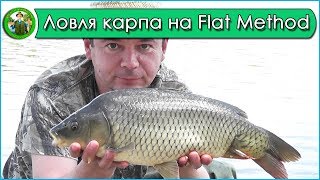 Ловля карпа на флэт метод - Карпфишинг 2018. Рыбалка на Молештах.
