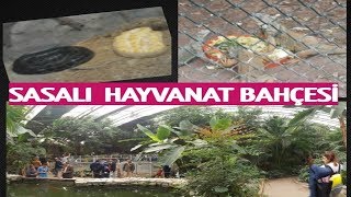 SASALI HAYVANAT BAHÇESİ TROPİK MERKEZ TİMSAHLAR İGUANALAR YILANLAR ÇİÇEKLER BALIKLAR İZMİR