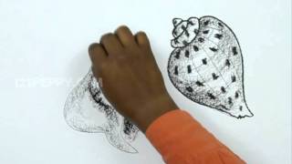 How to Draw Shells