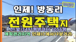 [19097]인제 전원주택지1056평 2억1천만원 인제IC로부터 19분거리 계획관리지역 방동리 오류동 - 박진호 부동산TV 인제부동산 원통부동산 현리부동산 하남부동산 전망좋은집터