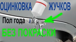 ЧТО СТАЛО С ОЦИНКОВКОЙ ЖУЧКОВ ЧЕРЕЗ ПОЛ ГОДА