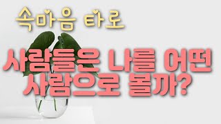 [타로카드,신타로,신점]주변사람들은 나를 어떤사람으로 볼까?내 매력!장,단점!속마음 타로