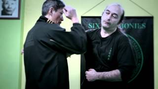 Six Harmonies Praying Mantis Kung Fu Heraklion (Street Fight Seminar)