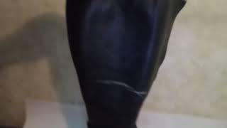 Обрезали сапоги.  Укоротить голенище