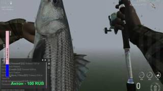 Fishing Planet. Калифорния. отдыхая качаем уровни