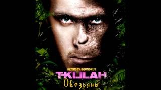 T killah - Обезьяны (remix by SOUNDRUS)
