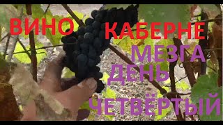 МЕЗГА забродила добавил еще винограда
