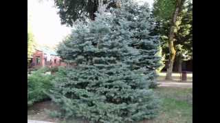 Горячий ключ-Экскурсия по городу.