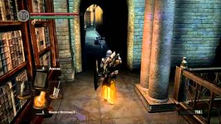 Играем в Dark Souls. Эпизод 33. В погоне за Авелин.