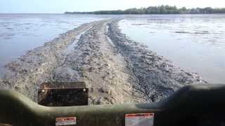 ARGO IN VERY DEEP MUD IN A MANGROVE (BEACH). ARGO EN LODO PROFUNDO EN UNA PLAYA DE MANGLARES