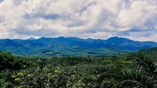 เที่ยวหลายคน เขาสก : KHAO SOK ADVENTURE ( เขาสก ดิสคัพเวอรี บูติคแคมป์ )