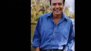 David Cassidy - Mother & Child Reunion
