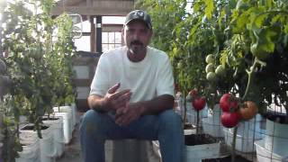 The New Greenhouse : Making Progress, But Is It Worth It?