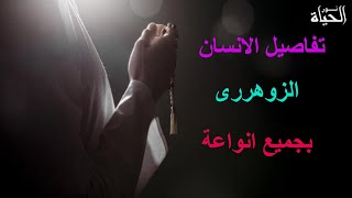 توضيع الاشكال على الايد فى الانسان الزوهرى