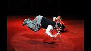 Whips Cracking Circus Act Variety Show Entertainment