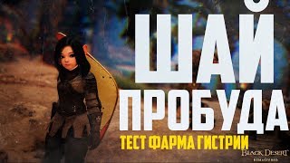 Black Desert  Пробуждение Шай Тест Гистрии