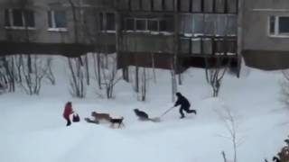 Skyrim!Смотреть всем!Ржака!Угар!2016!funy videos!