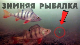 Зимняя рыбалка 2019-2020! Безмотылка в деле. Подводные съемки.