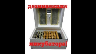 дезинфекция пенопластового инкубатора//инкубация//жизнь в деревне