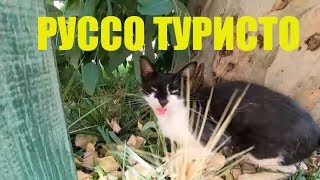 Meridia Beach Hotel  РУССО ТУРИСТО