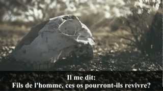 La Bible - Ezéchiel 37 - Prophétie sur la résurrection des morts