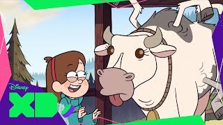 Mabel Vai ao Zoológico | Gravity Falls