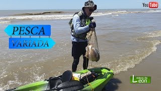 Pesca con kayak en Mar de Ajo. Argentina. Pesca variada en Mar. videos de Leon