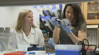 Christy Chang, PhD: University of Maryland School of Medicine Faculty Profile
