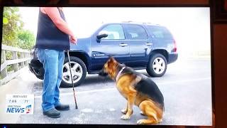 Service dog abused and injured at a groomer - news footage
