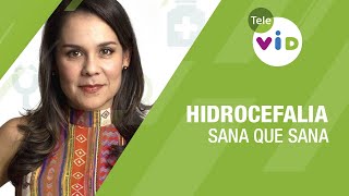 La Hidrocefalia - Sana Que Sana