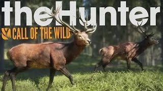 theHunter: Call of the Wild 2017 онлайн прохождение! Игра про охоту