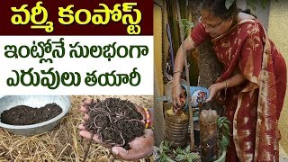 Vermicompost Preparation with Kitchen Waste for Terrace Garden | SumanTV