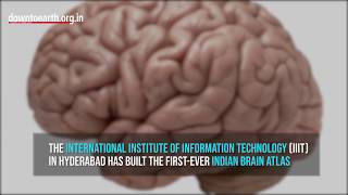 IIIT-Hyderabad creates the first Indian brain atlas