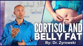 Cortisol And Belly Fat | Does Stress Cause Weight Gain?