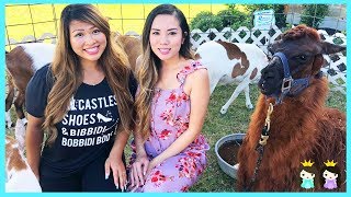 Twin Babies Emma and Kate 2nd Birthday Party with Princess ToysReview
