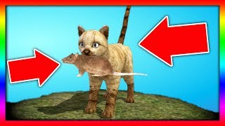 СИМУЛЯТОР Маленького КОТЕНКА #24 Челлендж с животными и котиками ДЕТСКИЕ ИГРЫ