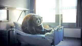 BÄR - First Steps Award 2014 (Bester Kurz- und Animationsfilm)